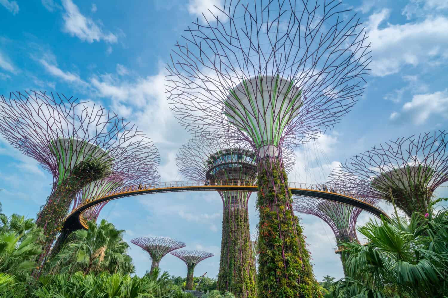 Pakej ke Singapore - Jom Musafir - Garden by The Bay Singapore